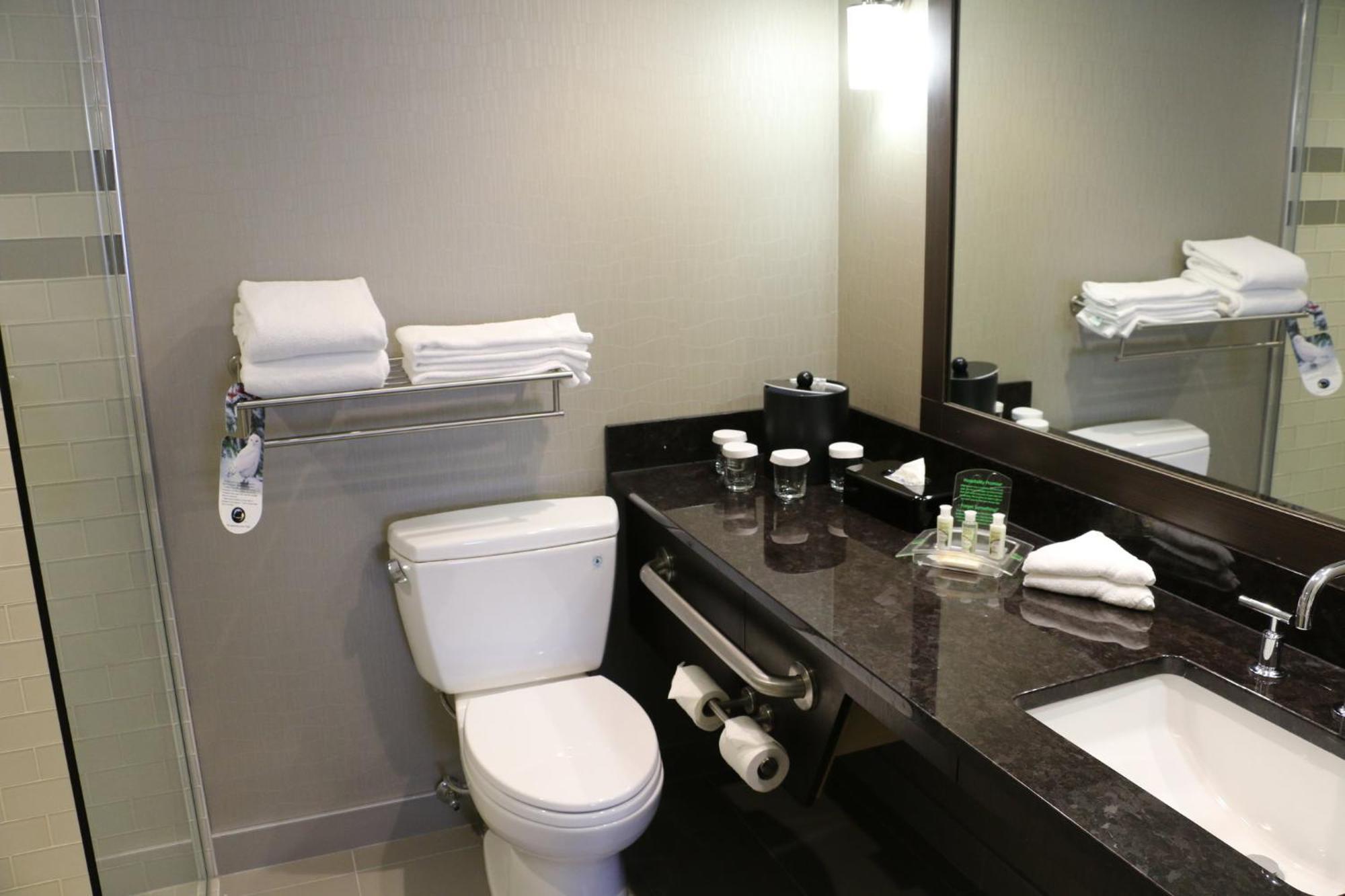 Holiday Inn Calgary Airport By Ihg Exterior foto